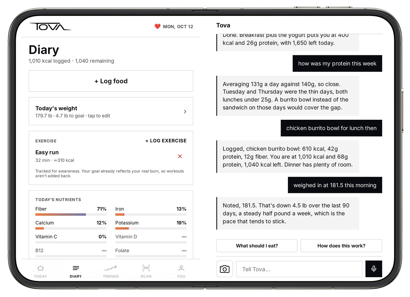 iPhone Duo open wide with TOVA: the Diary on the left page, Tova on the right